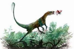 小型植食恐龙:工部龙 体长仅1.5米(非常适合奔跑)