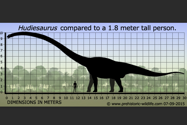 巨型植食恐龙:蝴蝶龙 体长高达30米(脖子占到一半)