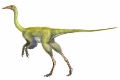 白垩纪恐龙:似鸟身女妖龙 嘴巴酷似鸟喙(长有10颗牙)