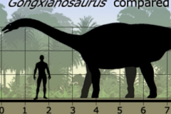 巨型植食恐龙:珙县龙 体长可达14米(前肢比后肢短30%)