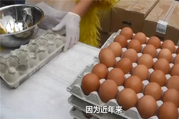 世界上最大的炒蛋 这场炒蛋背后的争议（62000个鸡蛋）