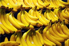 世界上最大的香蕉 巨大的香蕉令人十分恐怖相当震惊