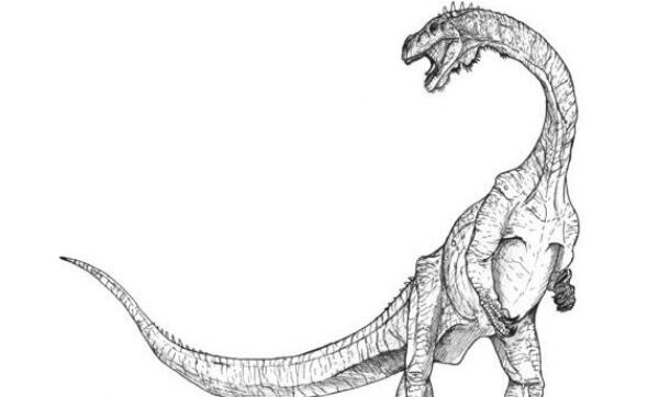 云南龙：中国大型食草恐龙（长7米/距今1.94亿年前）
