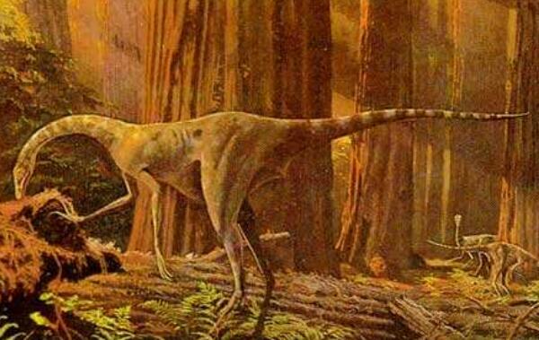 芦沟龙：云南小型食肉恐龙（长2米/距今1.96亿年前）