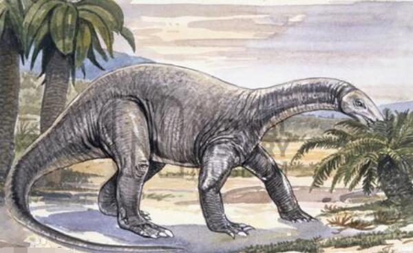 金沙江龙：中国大型植食性恐龙（长11-13米/1.75亿年前）
