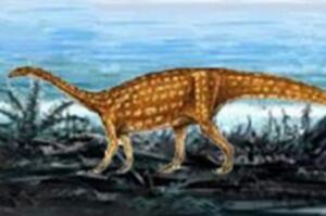 云南龙：中国大型食草恐龙（长7米/距今1.94亿年前）