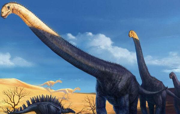 马门溪龙：地球上脖子最长的恐龙（长25米/1.45亿年前）