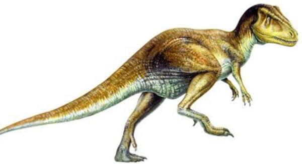 灵龙：最会跑的小型食草恐龙（长1.7米/中国四川出土）