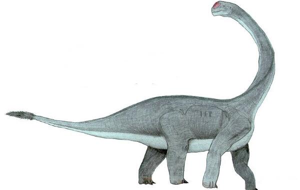 文雅龙：四川大型四足食草恐龙（长9米/距今1.61亿年前）