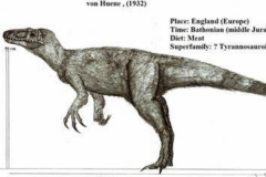 中型侏罗纪恐龙:髂鳄龙 体长4-5米(诞生于1亿6千万年前)
