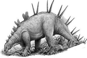 嘉陵龙：四川小型食草恐龙（长4米/距今1.5亿年前）