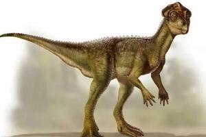 隐龙：四川小型二足食草恐龙（长1米/距今1.55亿年前）
