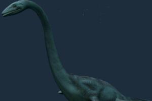 蛇颈龙：侏罗纪海洋中的霸王（长6米/距今1.5亿年前）