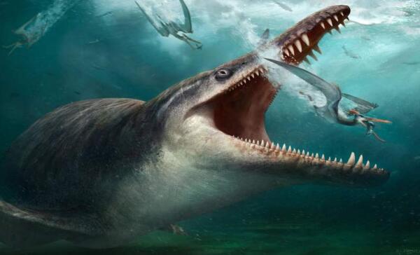 克柔龙：白垩纪最大海生爬行动物（长10米/澳大利亚出土）