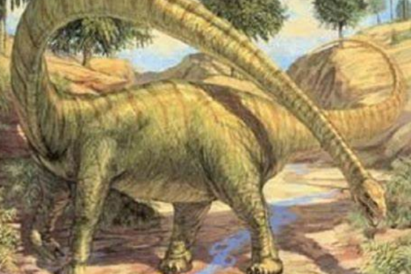 非洲巨型恐龙:詹尼斯龙 体长24米(生于1亿5500万年前)