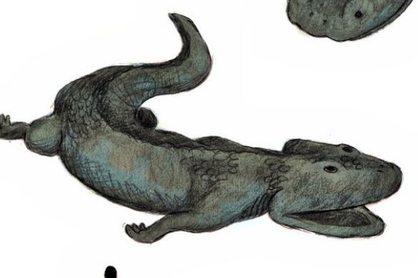 白垩纪古生物:酷拉龙 体长5米(唯一的极地两栖动物)