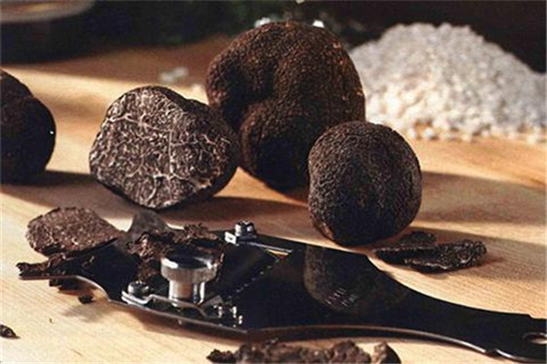 世界上最贵的蘑菇 松露（价格一公斤四千欧元）