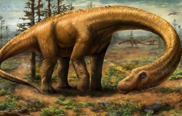内乌肯龙：阿根廷大型食草恐龙（长15米/8300万年前）