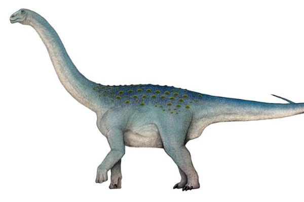 三叠纪恐龙:哥打龙 体长9米(最早期的蜥脚类恐龙)