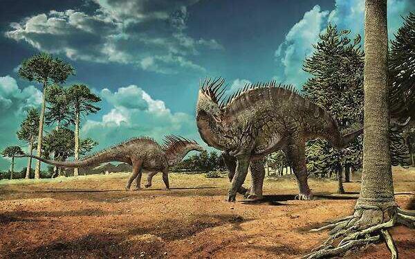 阿马加龙：阿根廷大型食草恐龙（长10米/1.25亿年前）