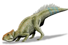 中亚植食恐龙:湖角龙 白垩纪最稀少的角龙(仅出土牙齿)
