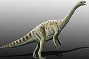 远食龙：阿根廷出土的恐龙（体型未知/距今2亿年前）