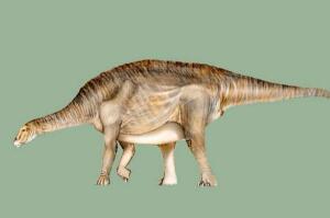 内乌肯龙：阿根廷大型食草恐龙（长15米/8300万年前）