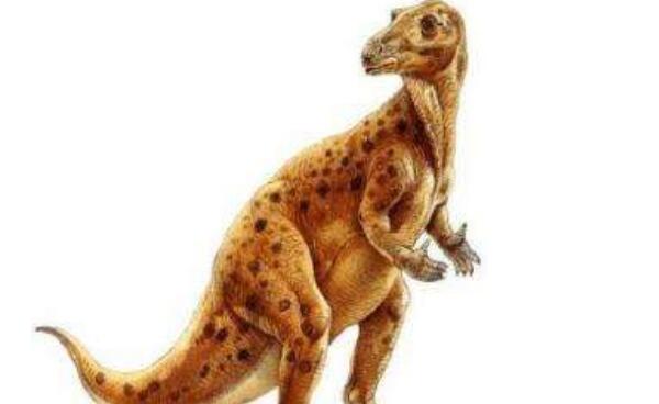鼠龙：世界上最小的恐龙化石/0.2米（阿根廷出土）