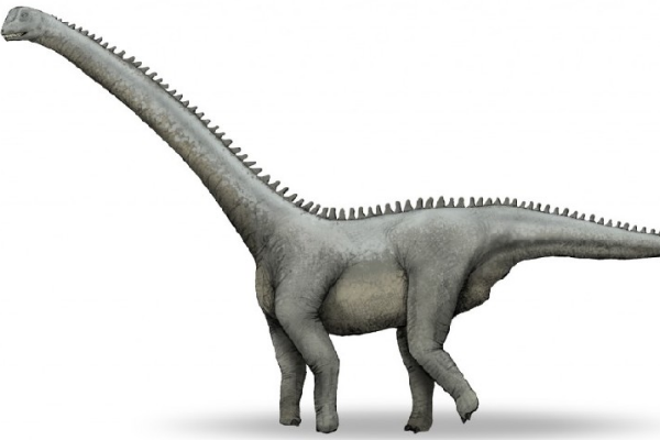 美丽龙:巨型沙漠蜥脚类恐龙(于新疆戈壁中发现)