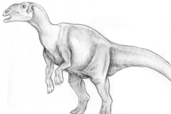 匙龙:大型鸭嘴龙科恐龙(体长7米/仅出土一块齿骨)