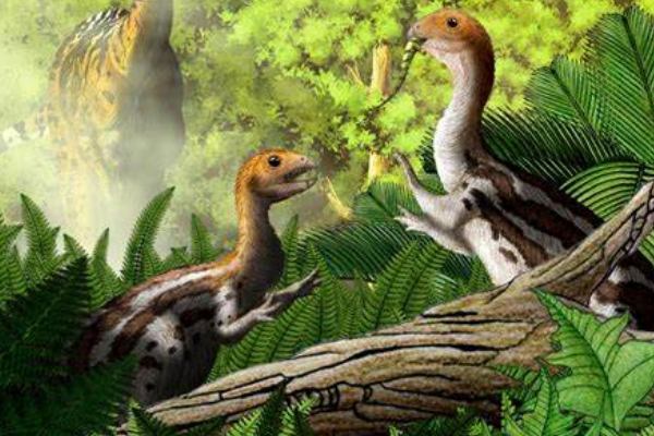 泥潭龙:中国小型植食性恐龙(罕见四指不长牙)