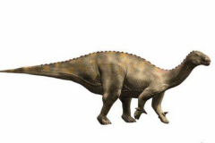 沉龙:非洲大型鸟脚类恐龙(体长9米/长有巨大拇指)