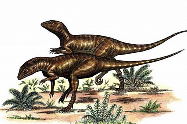 莱索托龙:非洲小型植食恐龙(骨骼中空/奔跑速度快)