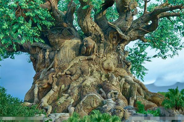 世界上十大神奇的树 雕琢树有着奇形怪状的形状引起围观