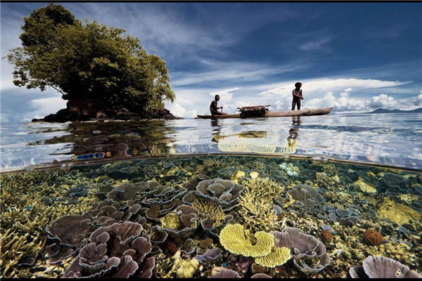 世界上最大的海 珊瑚海（面积达到479万平方公里）
