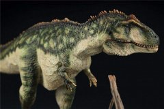 世界上最矮的食肉恐龙 巨兽龙（腿很短不到一米长）