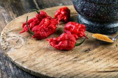 世界上最辣的十大辣椒 哈瓦那辣椒上榜红巨椒很是毒辣
