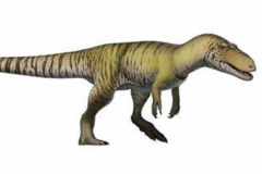 大龙:欧洲大型恐龙(长4米/最早的坚尾龙类恐龙)
