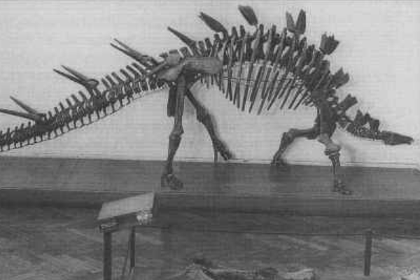 芒康龙:西藏中型植食恐龙(长5米/化石破碎稀少)