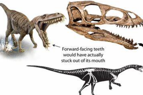 恶龙:非洲小型杂食恐龙(长2米/下颚长有匙状牙齿)