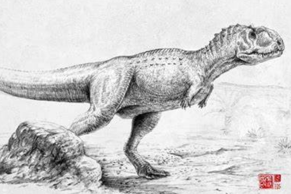 玛君龙:非洲大型兽脚恐龙(喜欢同类相食/头顶长角饰)