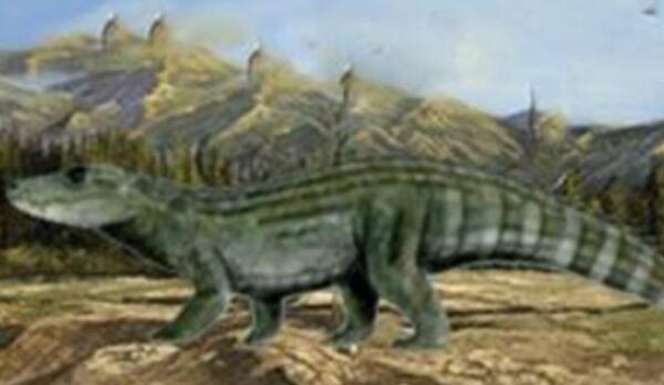 陆鳄：世界上最早的鳄鱼（体长50厘米/距今2亿年前）