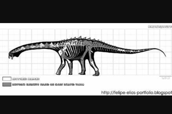 马萨卡利神龙:巴西出土的最大恐龙(长13米/重9吨)