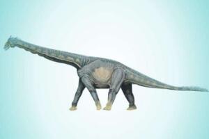 怪味龙：亚洲巨型食草恐龙（长15米/距今1亿年前）
