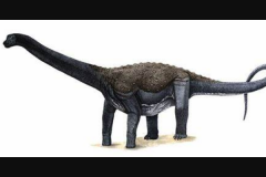 马萨卡利神龙:巴西出土的最大恐龙(长13米/重9吨)