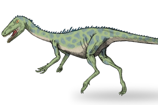西北阿根廷龙:南美小型恐龙(长1.8米/是阿贝力龙近亲)
