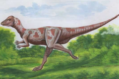 微肿头龙:中国小型恐龙(仅50厘米长/仅鸭子大小)