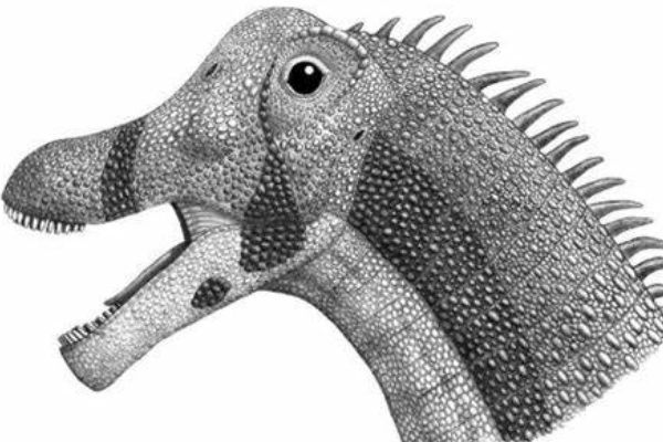 纳摩盖吐龙:蒙古超巨型恐龙(长21米/长有钉状牙齿)
