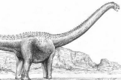 纳摩盖吐龙:蒙古超巨型恐龙(长21米/长有钉状牙齿)