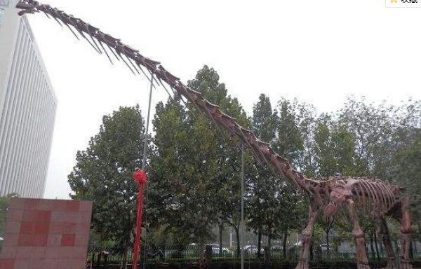 汝阳龙：世界上最重的恐龙（重130吨/出土于中国河南）